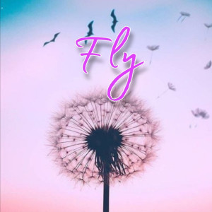 收聽DJ Bracci的fly歌詞歌曲