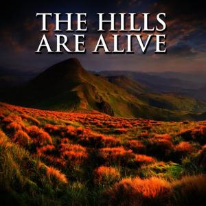 收聽Life of the Party的The Sound of Music (Instrumental Version)歌詞歌曲