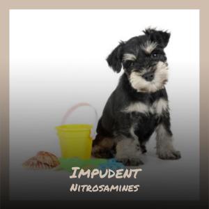 Dengarkan Impudent Nitrosamines lagu dari Iina Swake dengan lirik