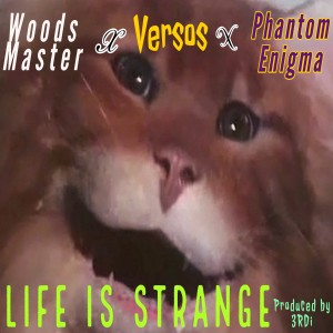 อัลบัม Life is Strange (Explicit) ศิลปิน Woods Master