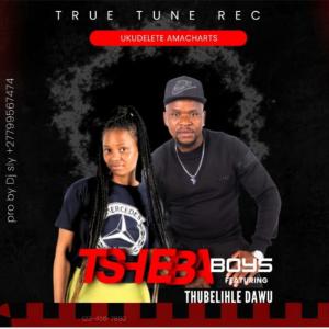 Tsheba Boys的專輯UKUDELETE AMACHATS