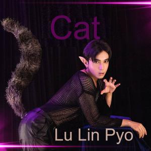 Lin Lin (YS)的專輯Cat