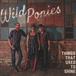 ดาวน์โหลดและฟังเพลง Make You Mine พร้อมเนื้อเพลงจาก Wild Ponies