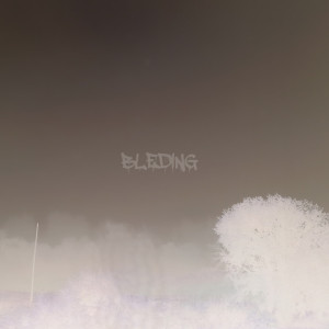 Album Bleding from HYDRAWAVE