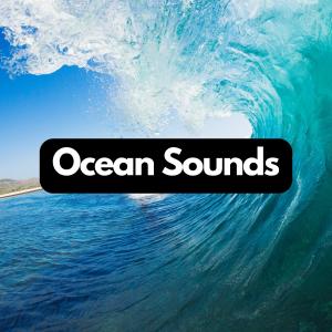 Stress Relief Calm Oasis的專輯Saltwater Symphonies: Beachside Relaxation