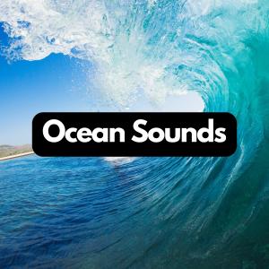 Album Saltwater Symphonies: Beachside Relaxation from Ocean Sound Machine