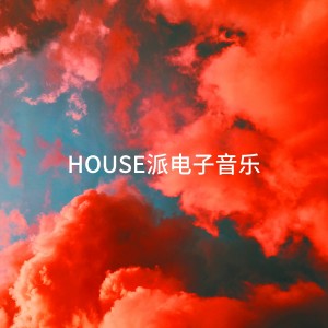 Album House派电子音乐 oleh Danila Fomin