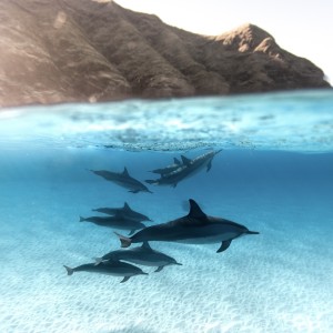 收聽Calm Music Factory的Moon歌詞歌曲