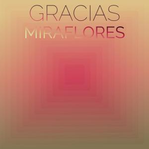 Various Artists的專輯Gracias Miraflores