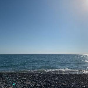 Album Гелик (Explicit) from △SCO△