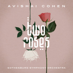 收听Avishai Cohen的A Child Is Born歌词歌曲
