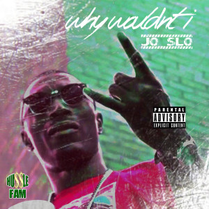 Listen to Why Wouldn't I (Explicit) song with lyrics from Jo Slo