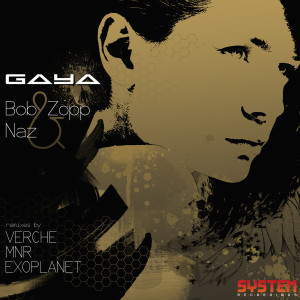 收聽Bob Zopp的Gaya (Verche Remix)歌詞歌曲