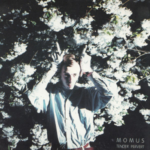 ดาวน์โหลดและฟังเพลง Ice King พร้อมเนื้อเพลงจาก Momus