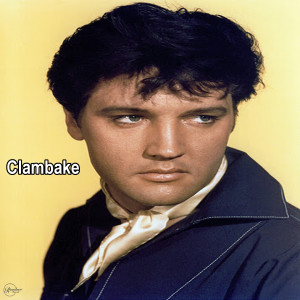 ดาวน์โหลดและฟังเพลง Who Needs Money? พร้อมเนื้อเพลงจาก Elvis Presley