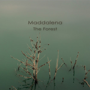 ดาวน์โหลดและฟังเพลง I Guess พร้อมเนื้อเพลงจาก Maddalena
