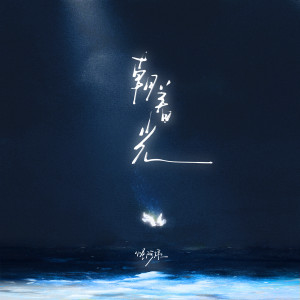 Album 朝着光 from 怪阿姨
