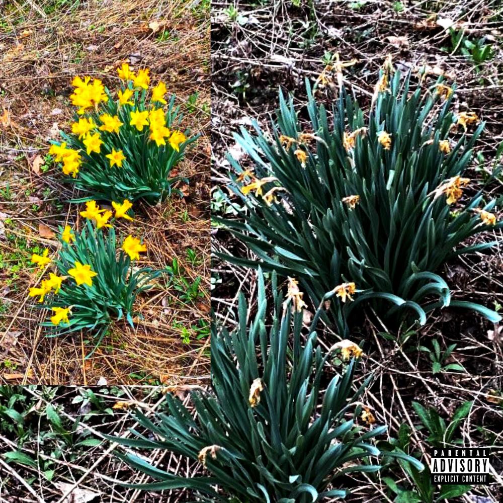 going through it (Explicit)