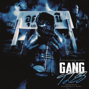 Album GANG TIES (feat. Jay FGz) (Explicit) from SNEX