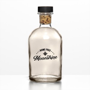 ดาวน์โหลดและฟังเพลง Moonshine พร้อมเนื้อเพลงจาก Home Free