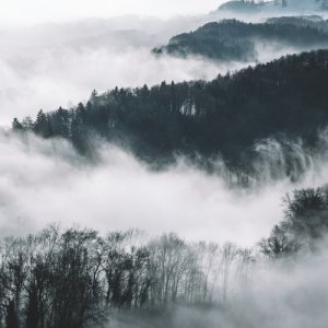 Dengarkan lagu ส่อง nyanyian Qler dengan lirik