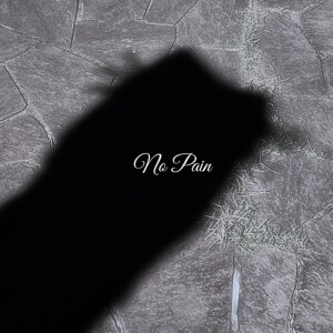 Album No pain (feat. 2-KID) from Lybetboy