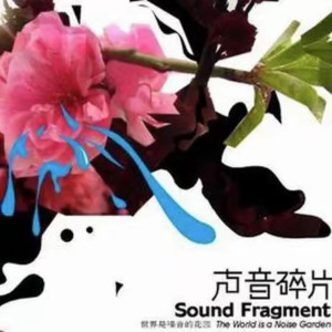 Listen to 妄想狂 song with lyrics from 声音碎片