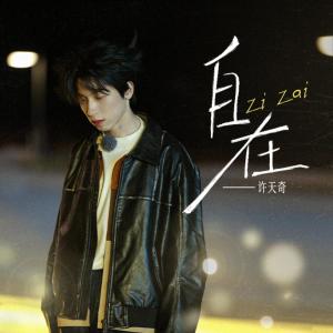 Album 自在 oleh 许天奇