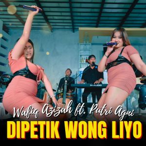 Album Dipetik Wong Liyo from Wafiq azizah