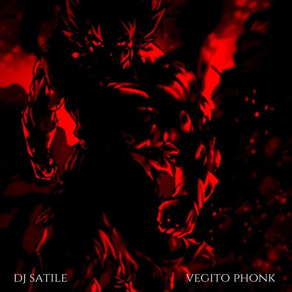 vegito phonk