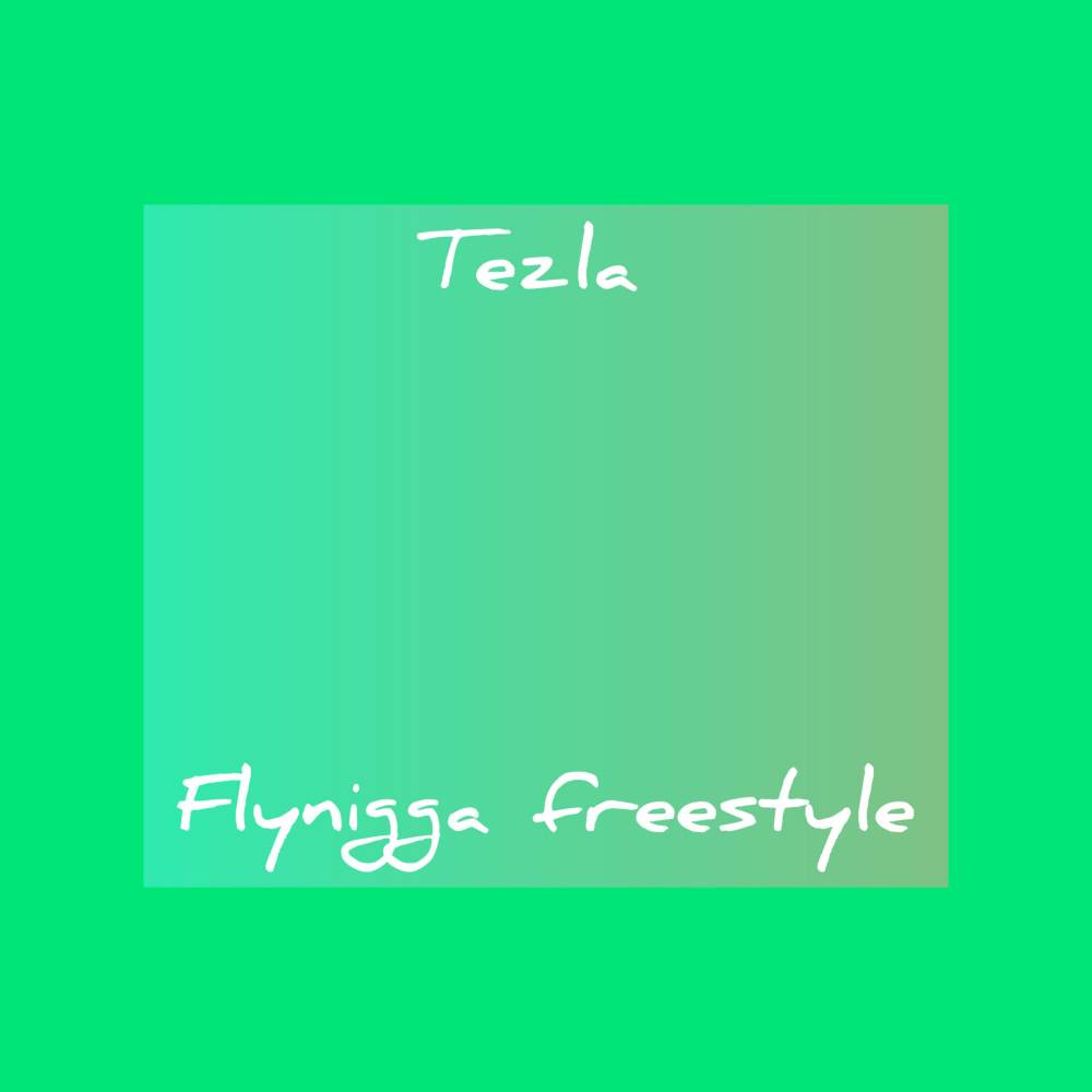 Fly Nigga Freestyle (Explicit)