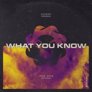ดาวน์โหลดและฟังเพลง What You Know (Explicit) พร้อมเนื้อเพลงจาก Iron Gate Sound