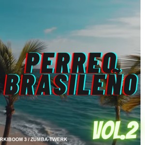 MIX PERREO BRASILEÑO 2020 VOL2
