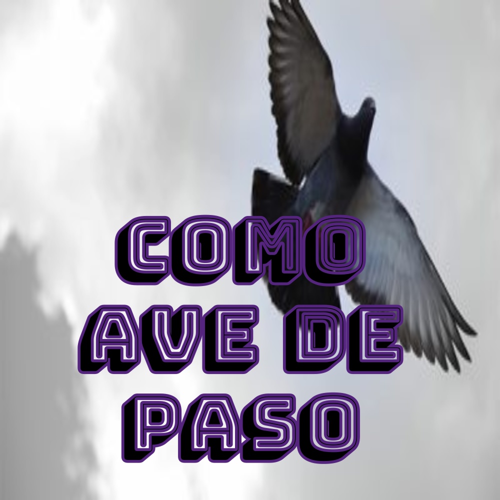 Háblame Mi Vida