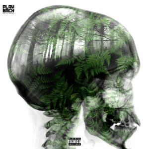 Album Jungliner (Explicit) from Dev