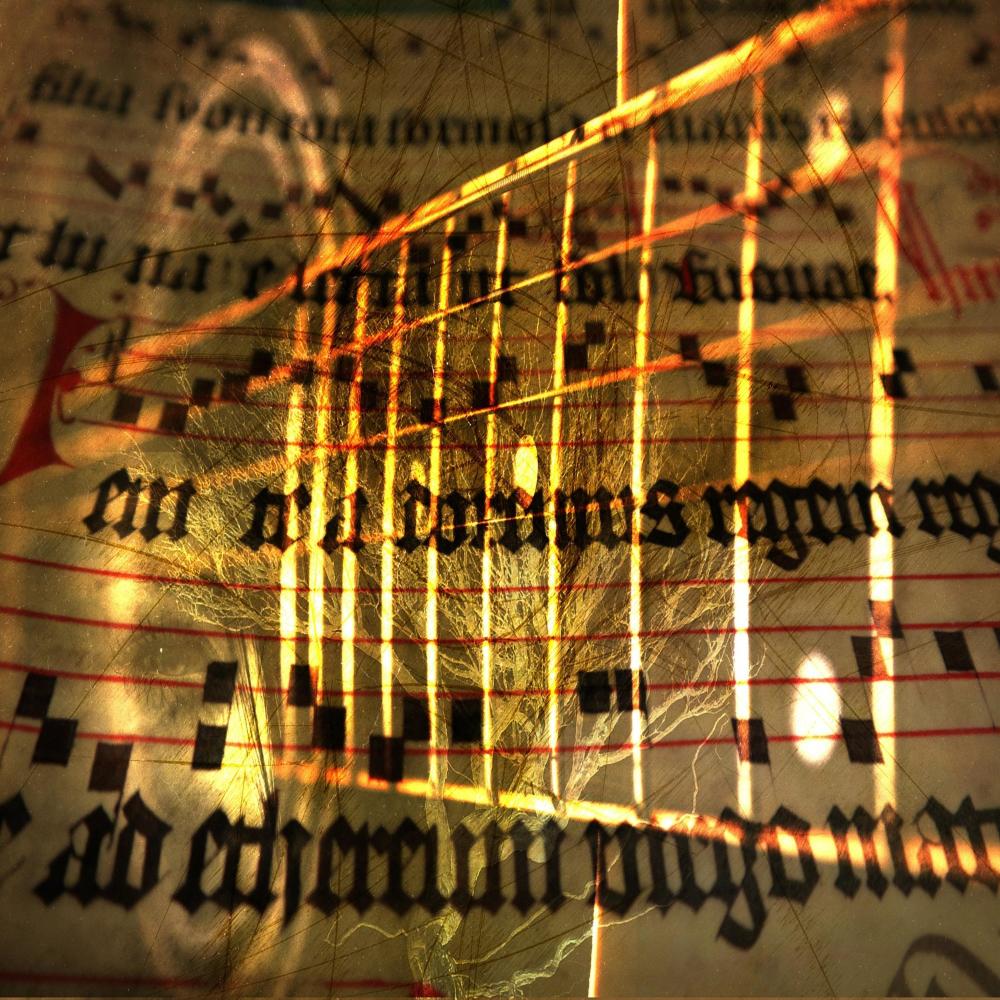 The Giant STRINGS