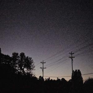Listen to while you're still song with lyrics from Sadness
