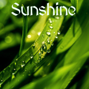 Album Sunshine from IDecay
