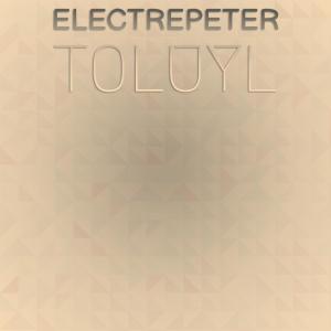 Various Artists的專輯Electrepeter Toluyl