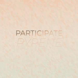 Various Artists的專輯Participate Pyrene