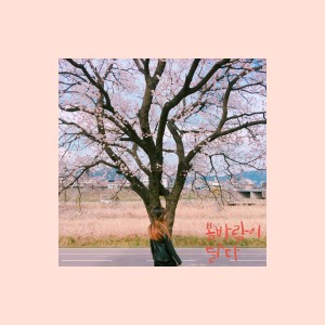 อัลบัม 봄바람이 달다 ศิลปิน 류정수