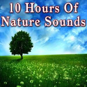 收聽Nature Sounds的Beside a Quick Moving Mountain Stream歌詞歌曲