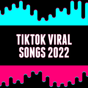 Album TikTok 2022 Viral Songs from Various Artists