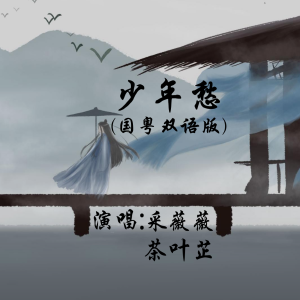 Listen to 少年愁(国粤双语版) (完整版) song with lyrics from 锦城