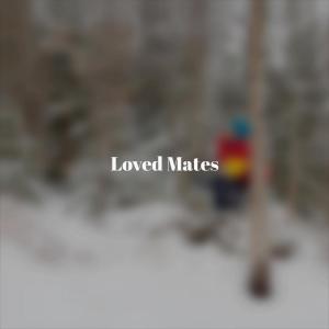 Various的专辑Loved Mates