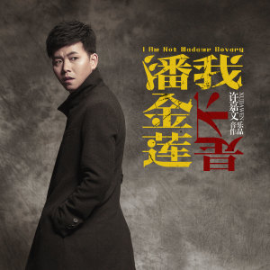 Listen to 我不是潘金莲 (伴奏) song with lyrics from 许嘉文