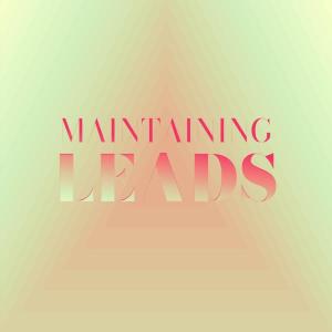 Various的专辑Maintaining Leads