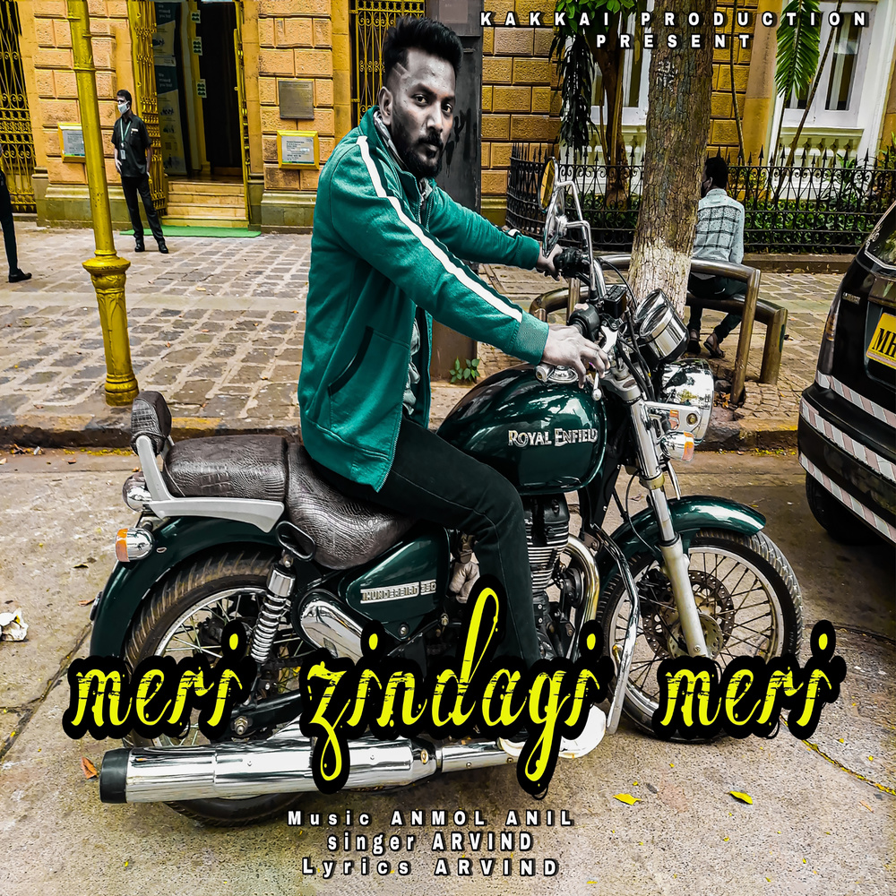Meri Zindagi Meri