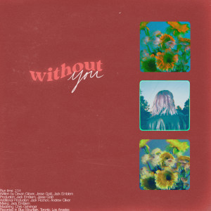 Listen to Without You song with lyrics from Devan