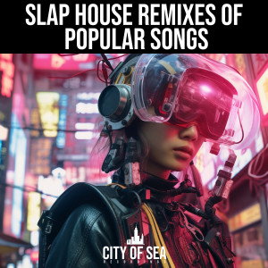 Album Slap House Remixes Of Popular Songs (Explicit) from Bacon Bros